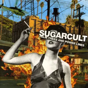 Palm trees and power lines